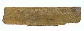 sarcophage, image 2/4