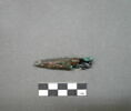 filtre, image 2/2
