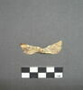 feuille, image 3/4