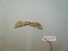 feuille, image 4/4