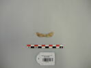 feuille, image 1/4
