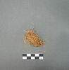 fil, image 2/2