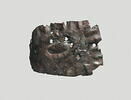 plaque, image 1/3