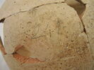vase, image 2/3