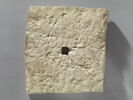 relief perforé, image 2/3