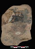 tablette, image 2/2
