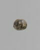 perle, image 1/3
