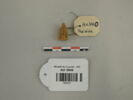 figurine ; amulette, image 1/2