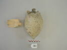 vase, image 1/2