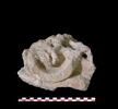 pilastre, image 1/2