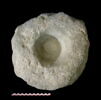 crapaudine, image 1/2