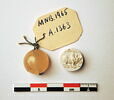 cachet, image 2/2