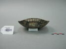 vase, image 2/4