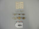 perle, image 1/2