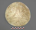 vase, image 4/8
