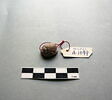 scarabée ; cachet, image 1/2