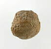 bulle de scellement, image 1/6