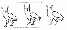 sceau cylindre ; scellement, image 2/2