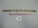 collier ; perle, image 3/6