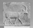 plaquette, image 4/4
