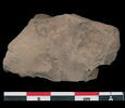 cachet ; scellement, image 1/2