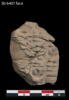 tablette  ; scellement, image 1/2