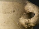 vase, image 5/5