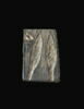 moule, image 1/4
