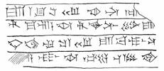 bassin ; fragment, image 5/5