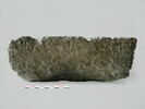 bassin, image 3/6