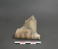 goulot de vase, image 1/3