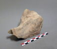 goulot de vase, image 1/2