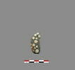 perle, image 1/2