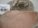 vase, image 2/2