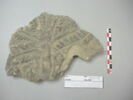 relief, image 11/11
