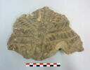 relief, image 4/11