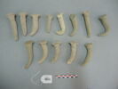 clou, image 1/2