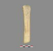 ciseau ; os, image 1/2