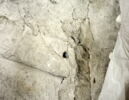 moulage, image 3/4
