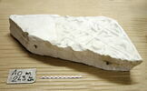 moulage, image 25/34