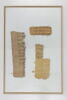 papyrus, image 1/2