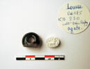 cachet ; sceau, image 2/3