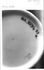 Tasse et sa soucoupe, d'une paire (OA 9594 25 CD), faisant partie du nécessaire de Marie-Antoinette, image 4/8