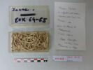 os, image 2/2