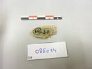 fragment, image 2/2
