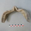 lèche-frite, fragment, image 2/3