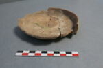 écuelle, image 1/6