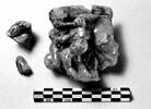 sifflet, fragment, image 4/6