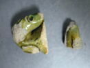sifflet, fragment, image 1/6
