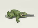 Grenouille de fontaine, image 1/9